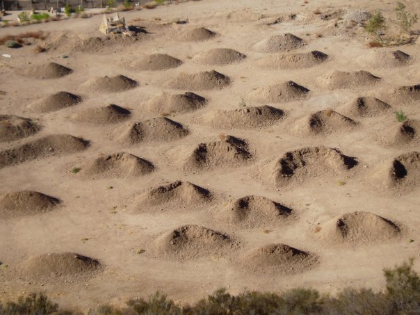 Dunes at Paintball USA