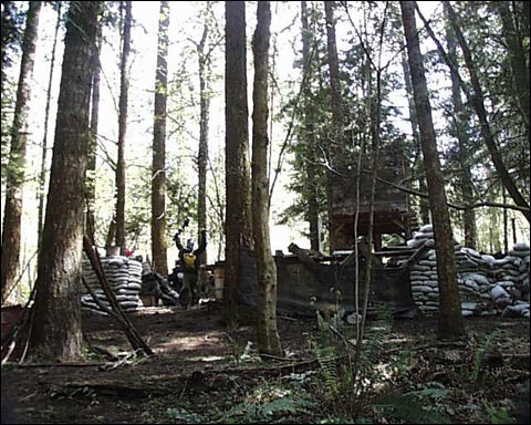 Woods at Splat Action Paintball Field in Molalla, Oregon.